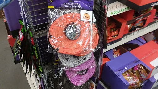Dollar Store «Dollar Tree», reviews and photos, 950 American Legion Hwy, Boston, MA 02131, USA