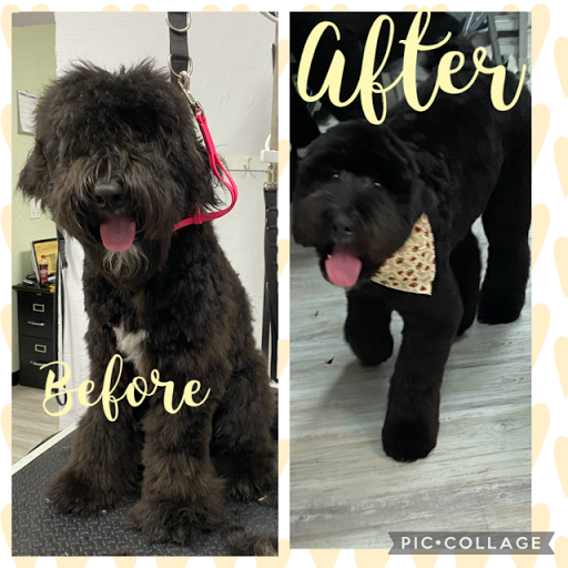 Pet Store «DipidyDawg Gourmet Dog Bakery & Boutique», reviews and photos, 21301 S Tamiami Trail Suite 430, Estero, FL 33928, USA