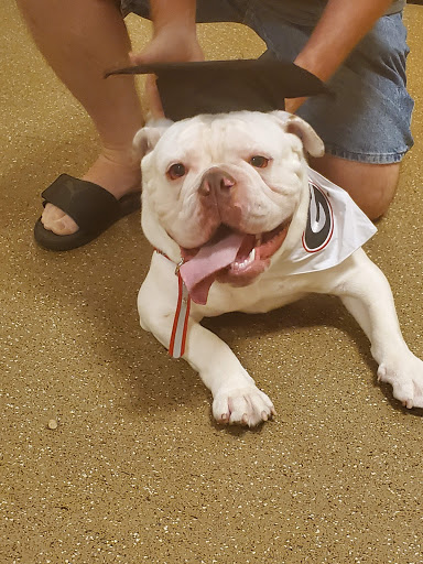 Pet Supply Store «PetSmart», reviews and photos, 916 Loganville Hwy, Bethlehem, GA 30620, USA