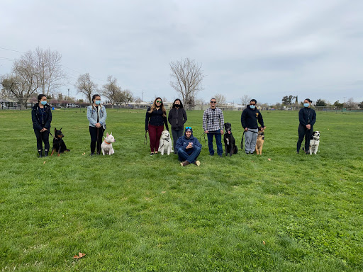 Lorenzo's Dog Training Team - Sacramento