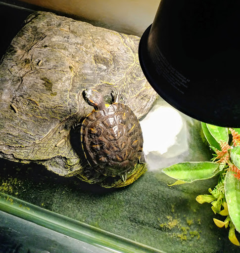 Lodging «PetSmart North Ogden», reviews and photos, 175 W 12th St, Ogden, UT 84404, USA