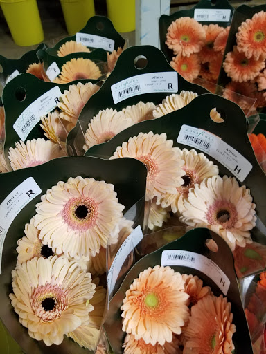 Florist «Sieck-Wright Floral Products», reviews and photos, 231 Monmouth St, Hightstown, NJ 08520, USA