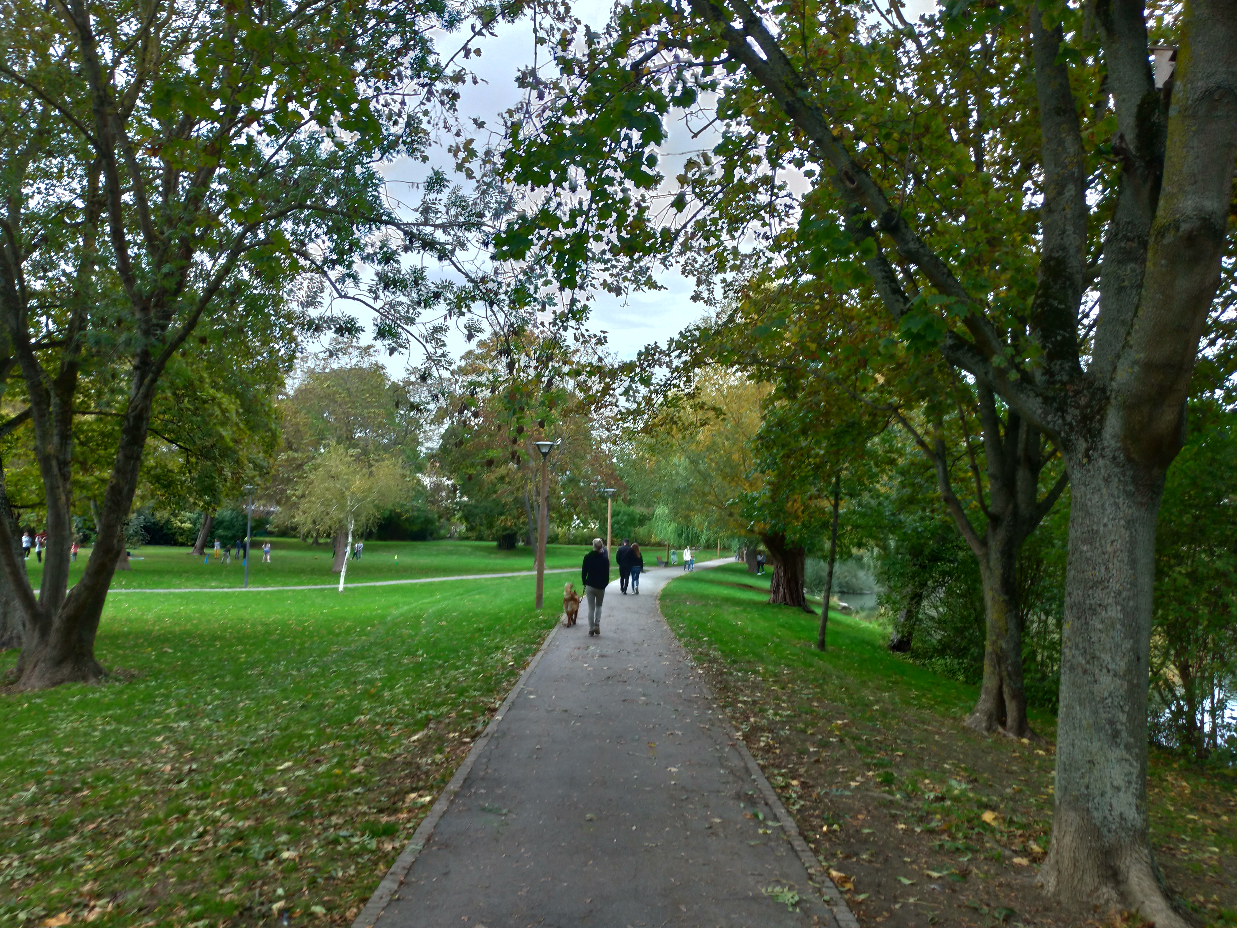 Photo n° 17 de l'avis de Benjamin.e fait le 22/10/2020 à 20:16