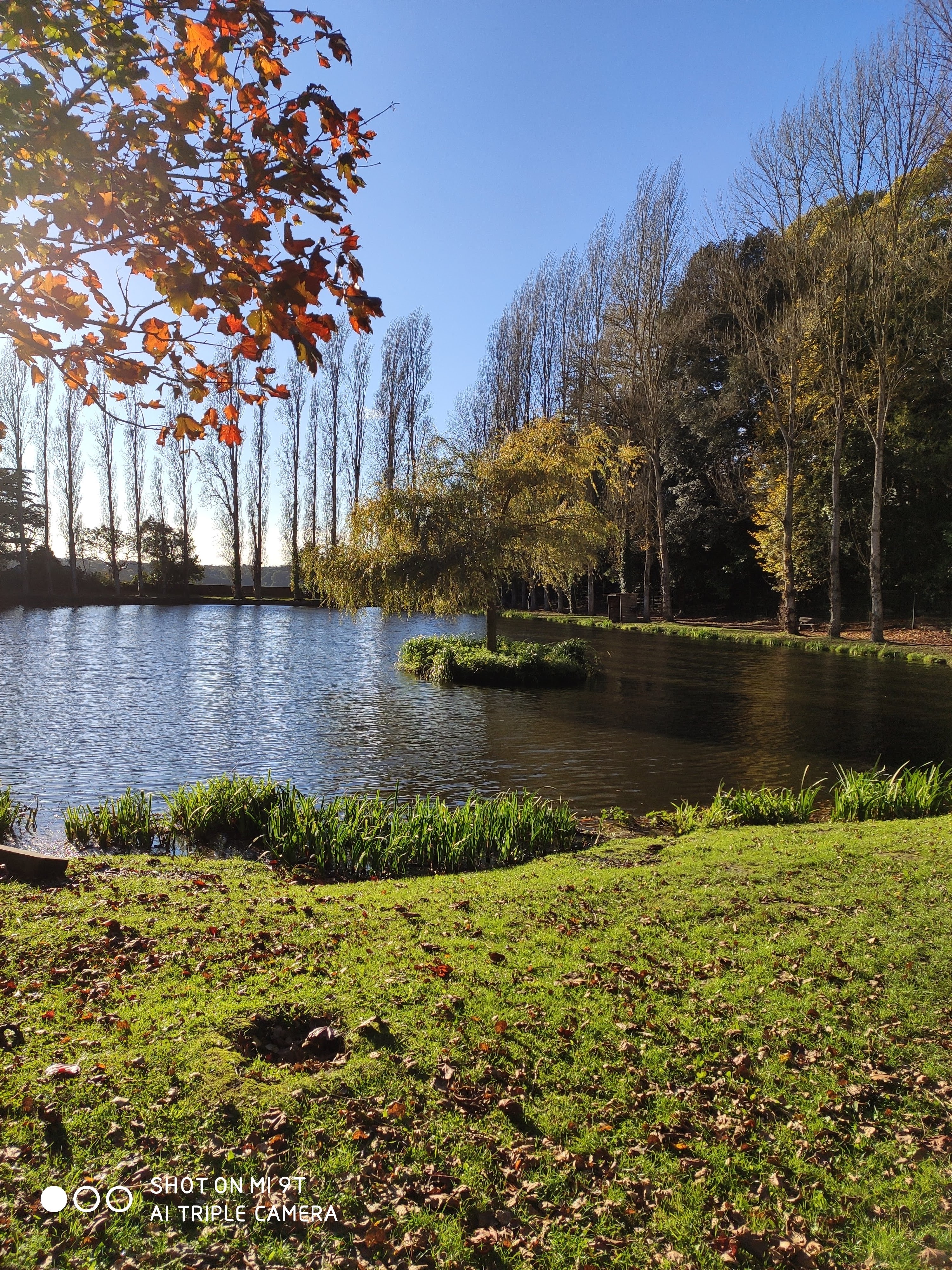Photo n° 2 de l'avis de Annie.h fait le 25/10/2020 à 17:28