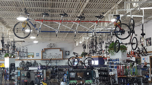 Bicycle Store «Richardson Bike Mart», reviews and photos, 1451 W Campbell Rd, Richardson, TX 75080, USA