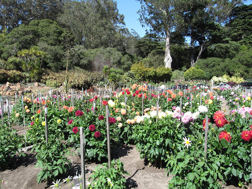 Park «Lake Union Park», reviews and photos, 860 Terry Ave N, Seattle, WA 98109, USA