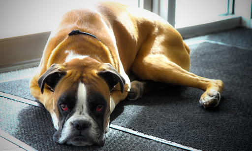 Ford Dealer «Hillyers Mid-City Ford», reviews and photos, 3000 Hillyer Ln, Woodburn, OR 97071, USA