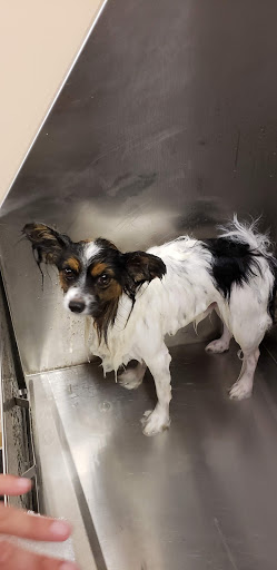 Pet Supply Store «Lemos Feed & Pet Supply», reviews and photos, 1320 Main St, Morro Bay, CA 93442, USA