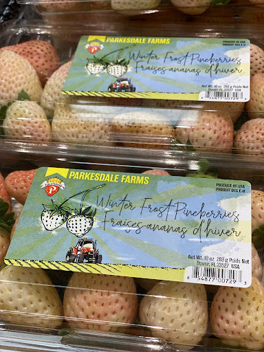 Grocery Store «Food Lion», reviews and photos, 7013 Lankford Hwy, Oak Hall, VA 23416, USA