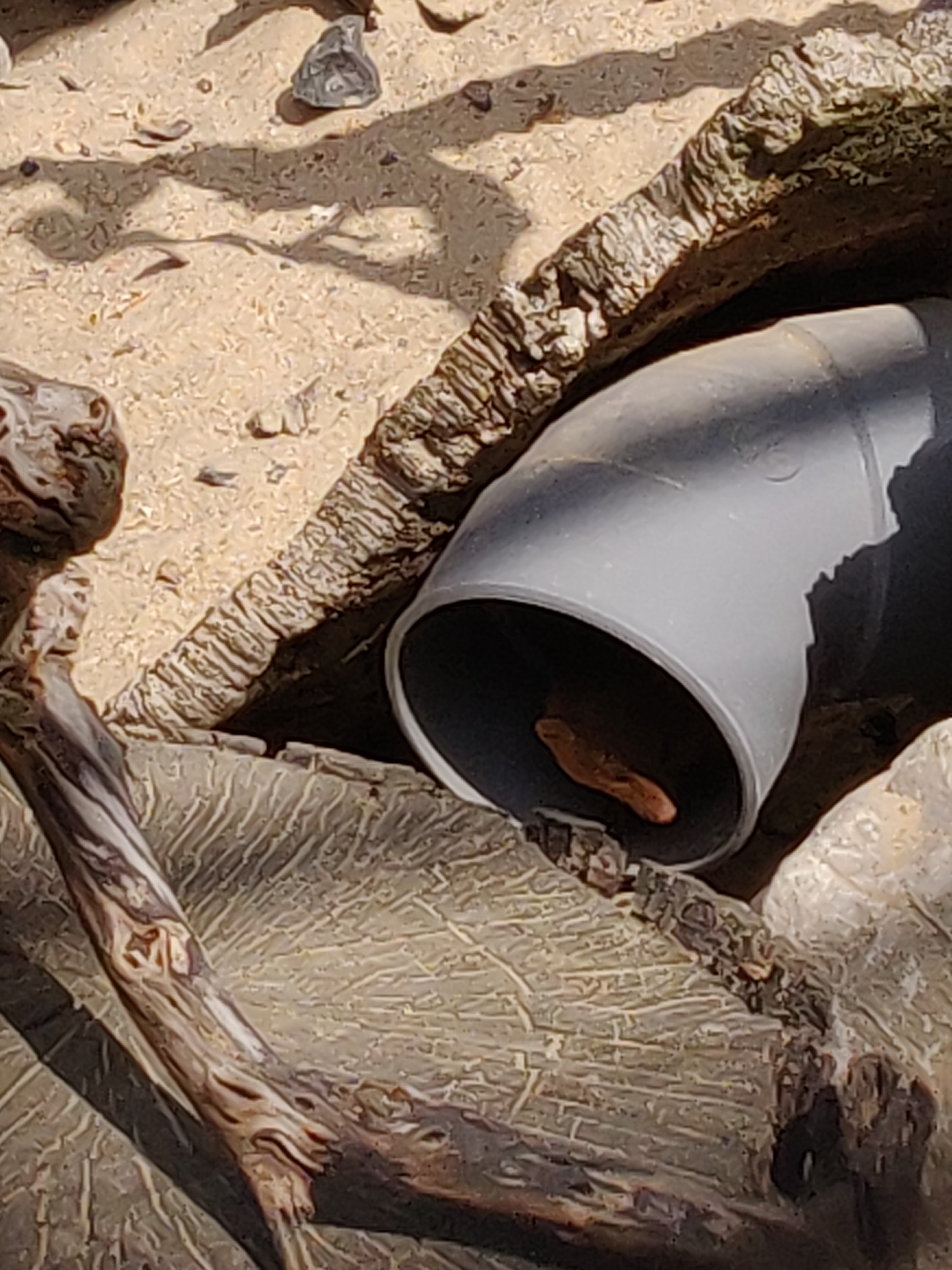 Photo n° 12 de l'avis de Amélie.e fait le 31/08/2019 à 17:39