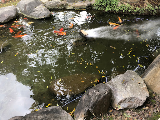 安巒山莊 的照片