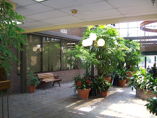 Marketing Consultant «Big Hit Creative Group», reviews and photos, 310 I-30 Frontage Rd #101, Garland, TX 75043, USA