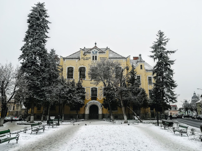 Liceul Teoretic Bolyai Farkas - Școală