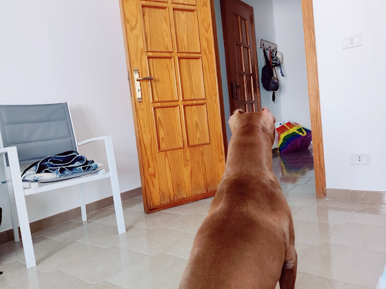 Photo Appartamento vacanze Scalelle Apartment 73014 Gallipoli