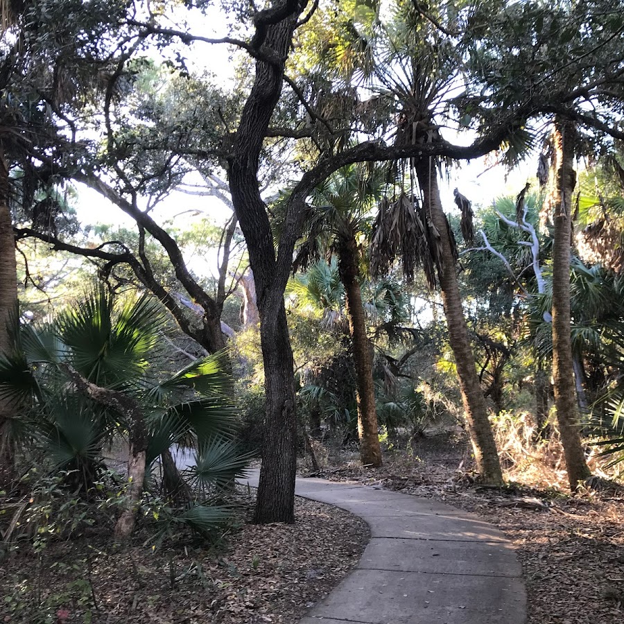 Frenchman's Forest Natural Area