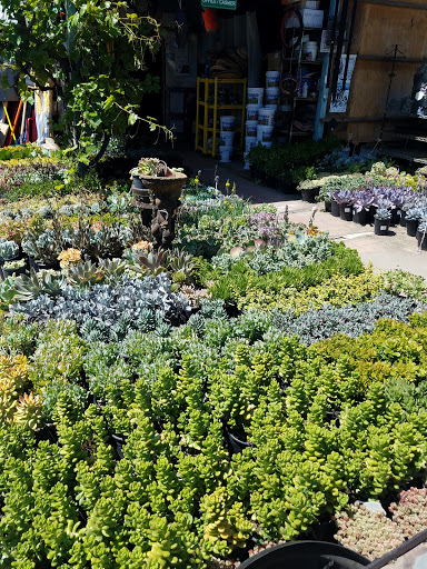 Orta Garden Supply, Inc. (Nursery)