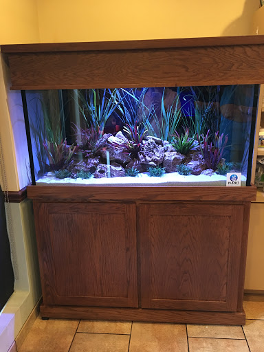 Tropical Fish Store «Aquarium Artisans», reviews and photos, 8005 Plainfield Rd #11, Cincinnati, OH 45236, USA