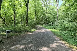 Waldbühnen Park image