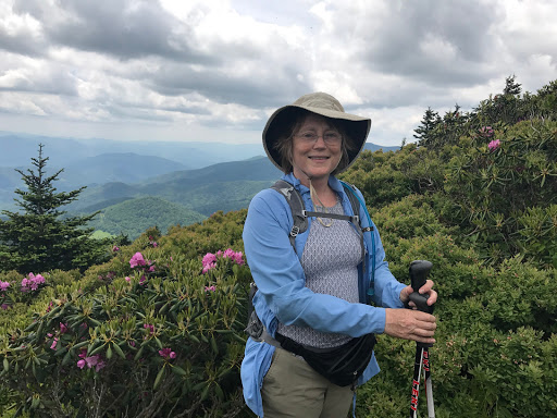 State Farm: Diane Bauknight Asheville-Arden-Fletcher, 5 Long Shoals Rd, Arden, NC 28704, Insurance Agency