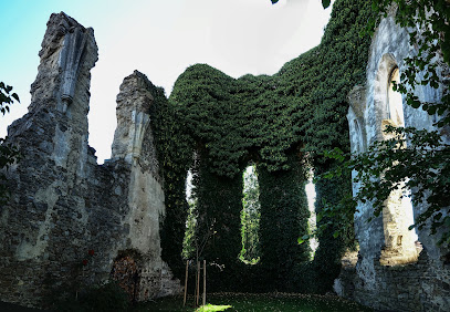 Rafingsberg - Ruiny středověkého kostela