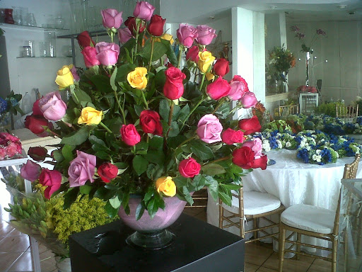 Florería Ave del Paraíso – Mazatlán