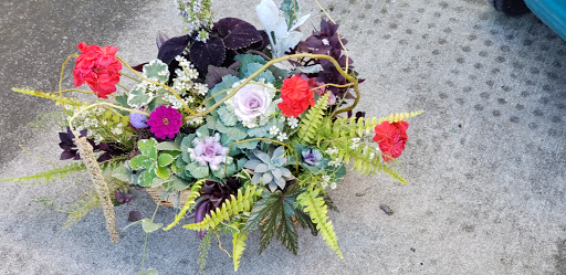 Florist «St. Clair Greenhouses & Florist», reviews and photos, 7043 Big Hand Rd, St Clair, MI 48079, USA