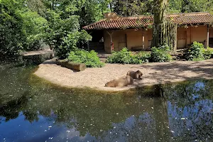 Südamerika Anlage - Flachlandtapir, Guanaki, Nandu und Wasserschwein - Zoo Krefeld image