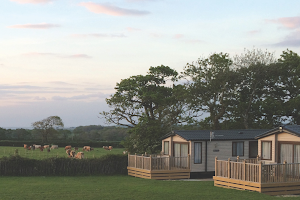 The Orchards Holiday Caravan and Camping Park image