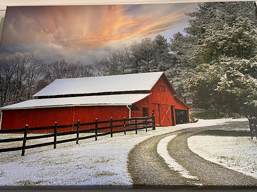 Art Gallery «Woolworth Walk», reviews and photos, 25 Haywood St, Asheville, NC 28801, USA