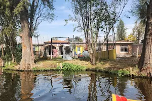 Trajineras Xochimilco image