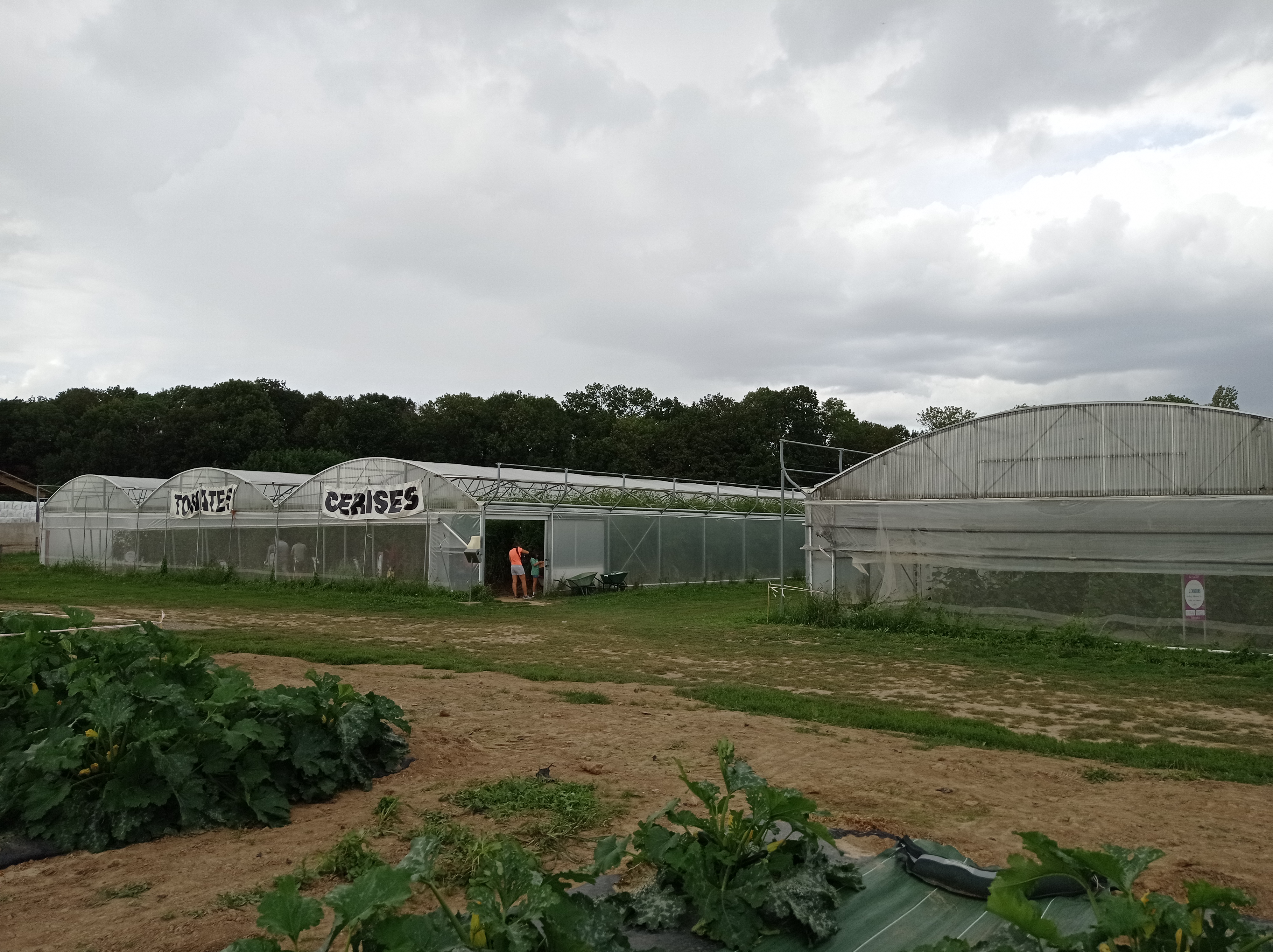 Photo n° 25 de l'avis de alexandre.u fait le 27/08/2023 à 13:21