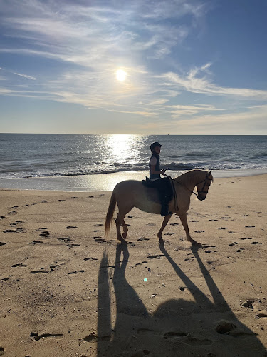 Avaliações doClube Equestre A Palmeirinha em Loulé - Escola