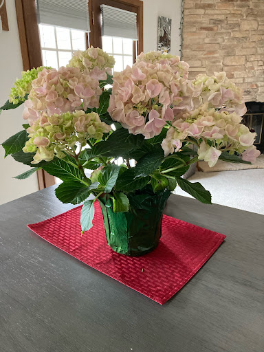 Florist «Flowerama», reviews and photos, 220 150th St W, Apple Valley, MN 55124, USA