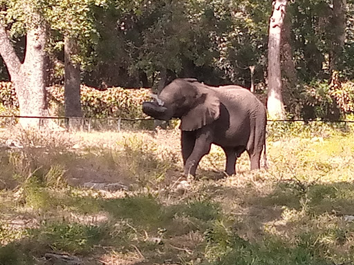 Kano Zoo, 138 Zoo Rd, Gadun, Kano, Nigeria, Theme Park, state Kano