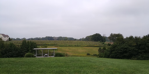 Winery «Madison Vineyards Estate Winery and Bed & Breakfast», reviews and photos, 1456 E 400 N, Madison, IN 47250, USA