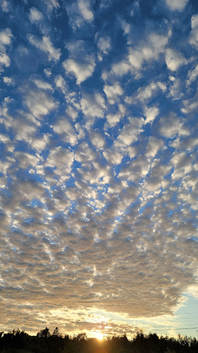 Grocery Store «Family Fare Supermarket», reviews and photos, 699 U.S. 2, St Ignace, MI 49781, USA