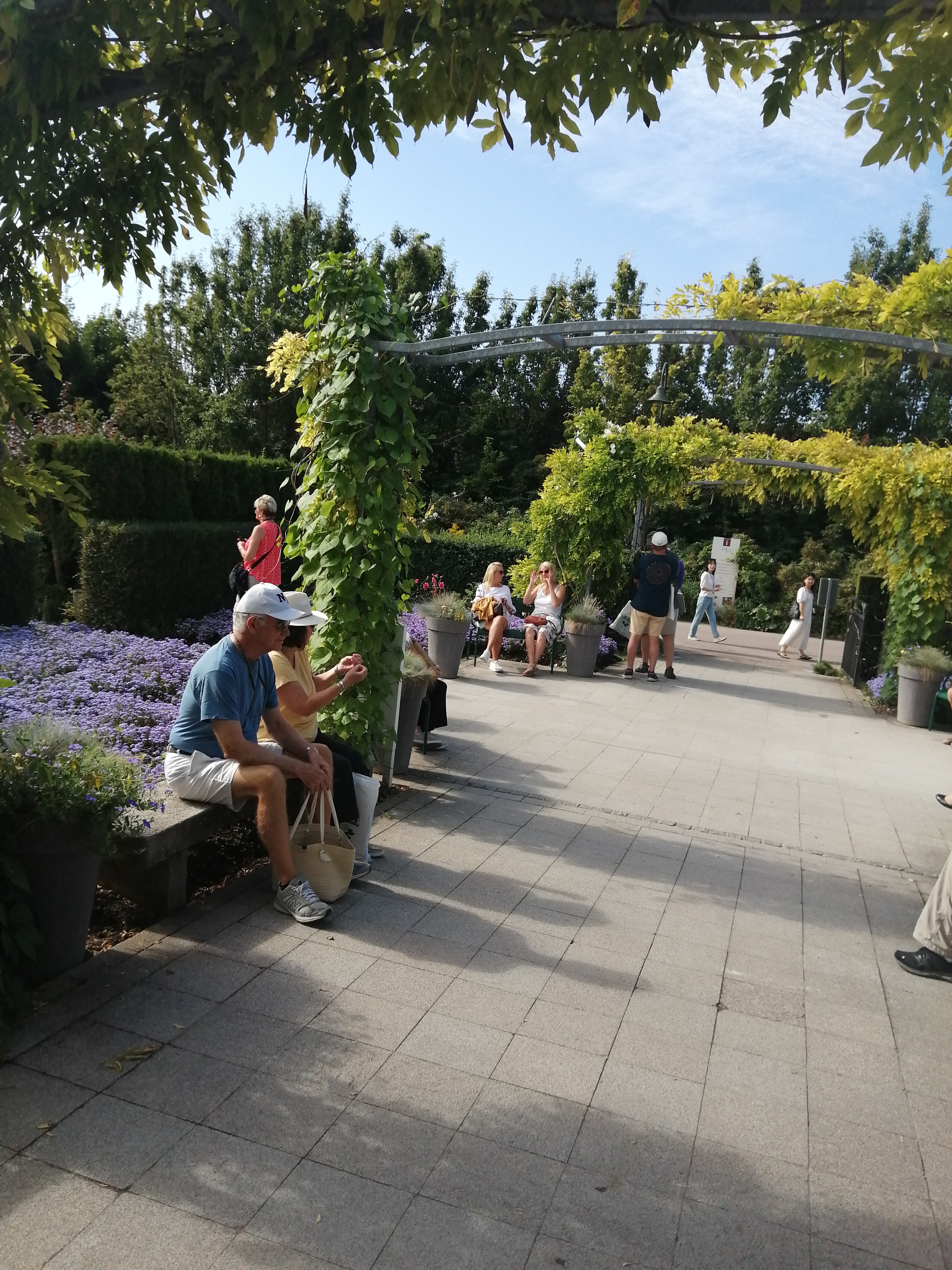 Photo n° 8 de l'avis de gilbert.R fait le 23/08/2023 à 19:44