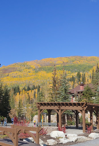 Resort «Solitude Mountain Resort», reviews and photos, 12000 Big Cottonwood Canyon Rd, Solitude, UT 84121, USA