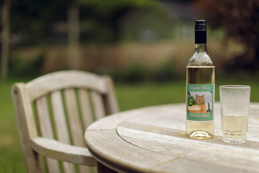 Winery «Leyden Farm Vineyard & Winery», reviews and photos, 160 Plain Meeting House Rd, West Greenwich, RI 02817, USA