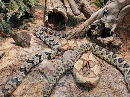 Aquarium «South Carolina Aquarium», reviews and photos, 100 Aquarium Wharf, Charleston, SC 29401, USA