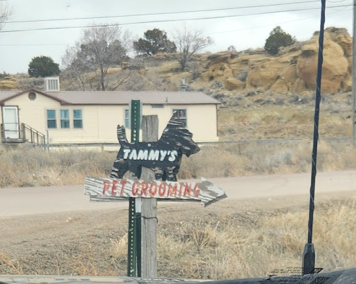 Tammy's Pet Grooming