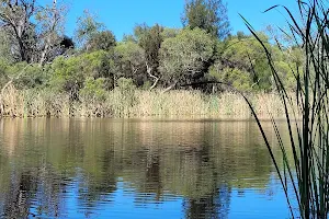 Canning River Regional Park image