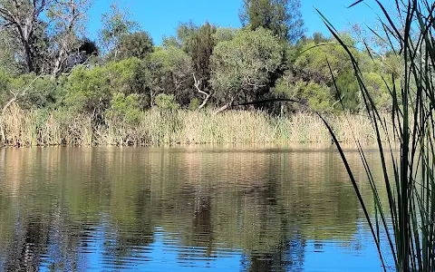 Canning River Regional Park image