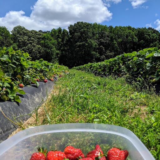 Henley Farm, 3513 Charity Neck Rd, Virginia Beach, VA 23456, USA, 