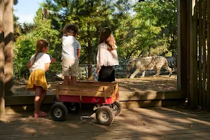 Zoo de Bordeaux Pessac image