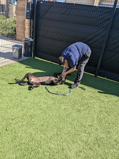 OC Animal Care image