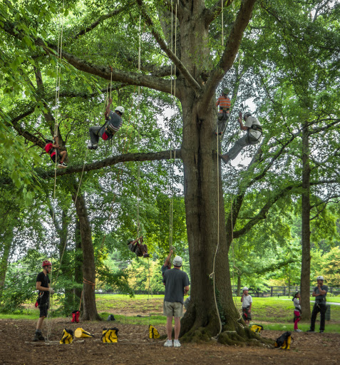 Golf Course «Wills Park Disc Golf Course», reviews and photos, 454 Wills Rd, Alpharetta, GA 30004, USA