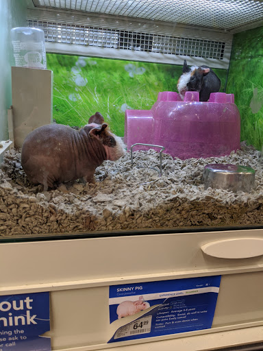 Pet Supply Store «Petco Animal Supplies», reviews and photos, 12444 NW 10th St #301, Yukon, OK 73099, USA