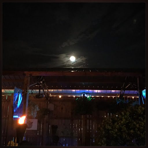 Bar «Splash Bar», reviews and photos, 6520 Thomas Dr, Panama City Beach, FL 32408, USA