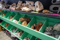 Ocean's Floor, LLC. - Photo 5 - Car repair in Greenville, SC, Greenville